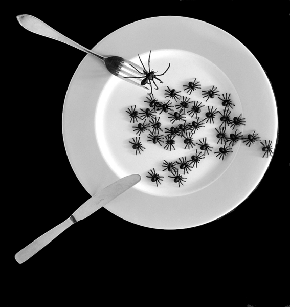 Photograph Carool Van Der Hagen Have A Nice Meal on One Eyeland